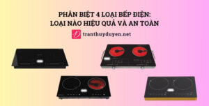 Phân biệt 4 loại bếp điện: Loại nào hiệu quả và an toàn 4 loại bếp sử dụng điện